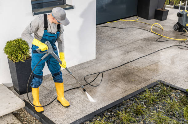 Best Window Cleaning in Ocklawaha, FL